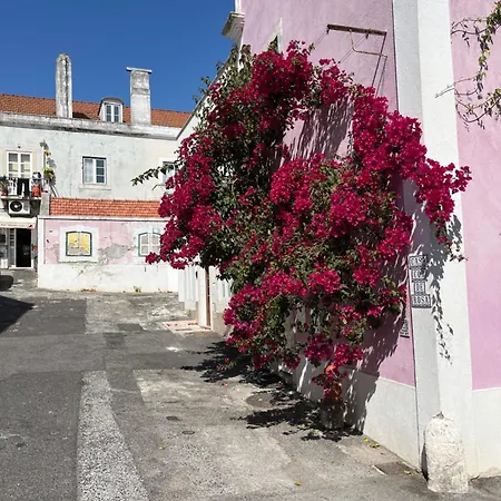 דירה Casa Cor De Rosa *