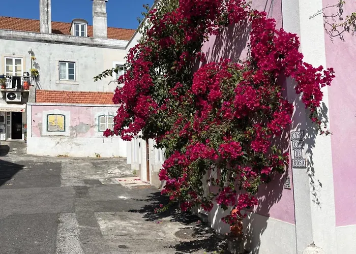 Apartamento Casa Cor De Rosa *